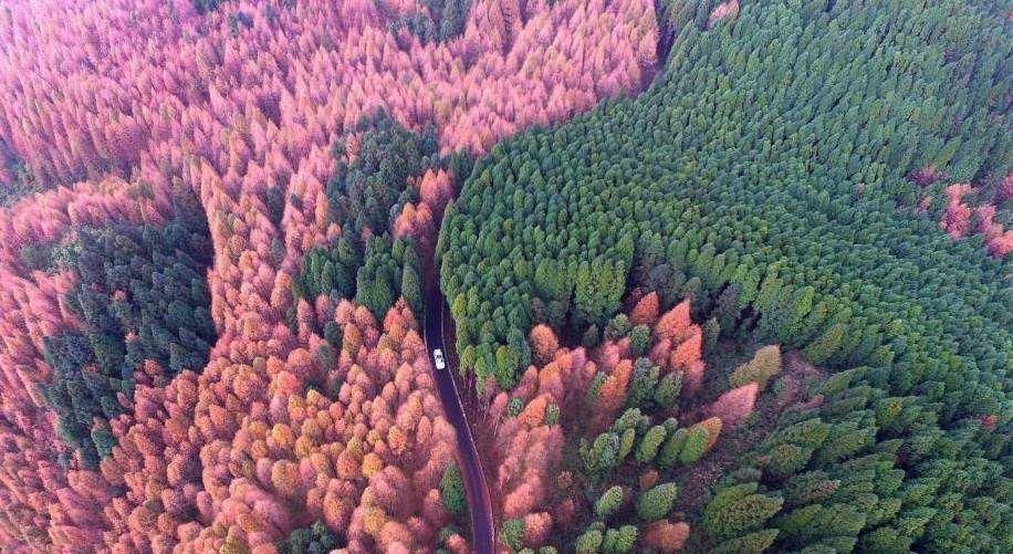 就在重庆!这条自驾公路真的太惊艳了,光看图片就能令人沉醉!