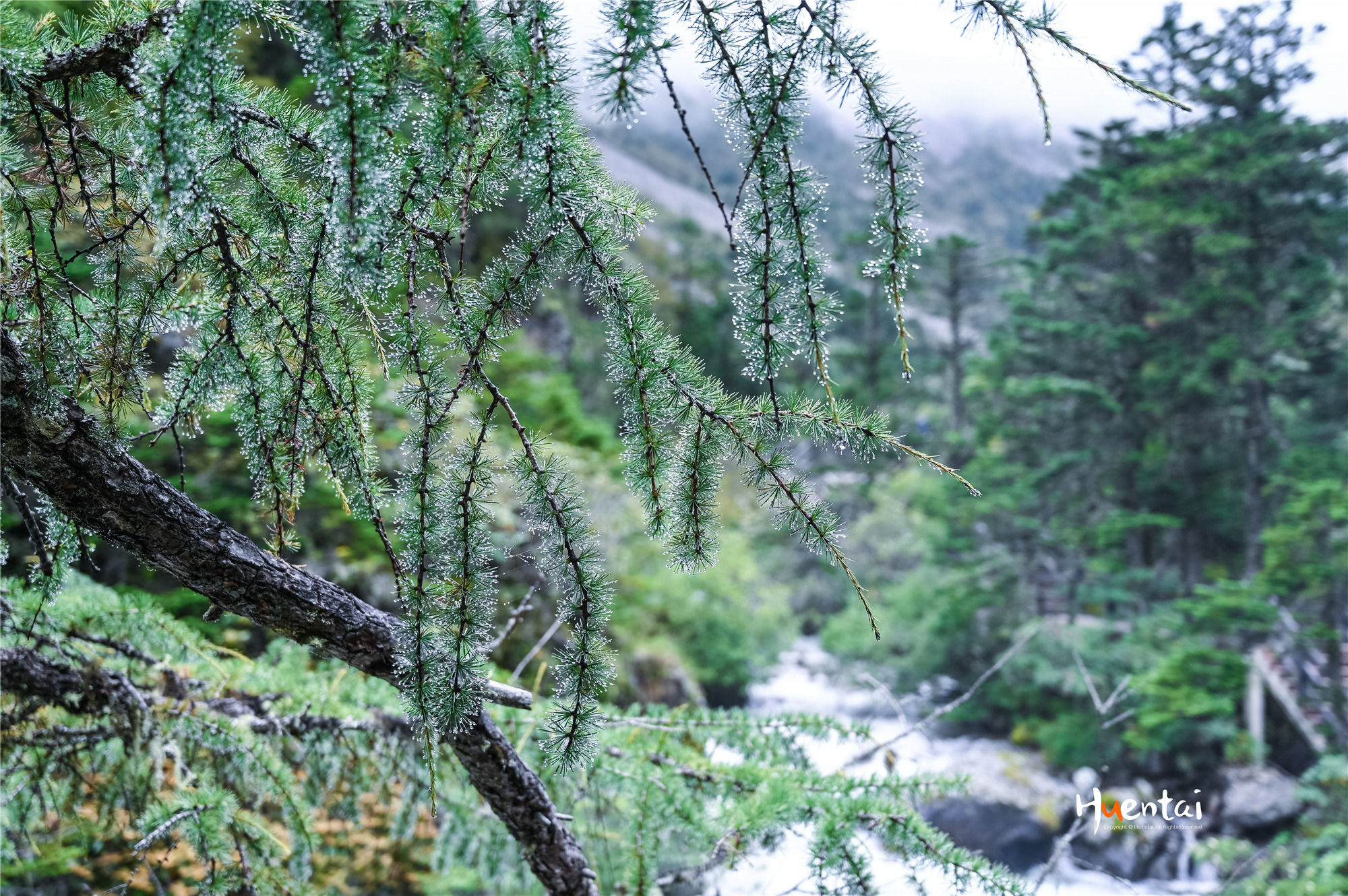 出发即收获，自驾川西秘境木格措