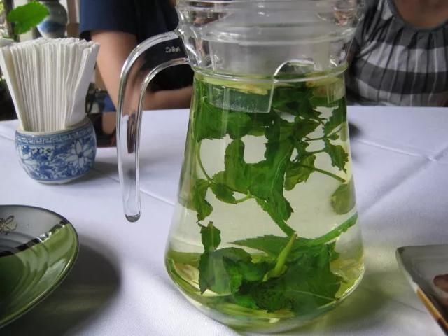  #提神醒脑#驱蚊 | 18种除虫香草，杀菌驱蚊虫，叶子还能炒菜吃