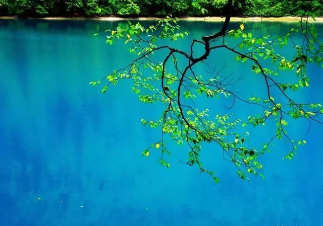 这几个地方景色太美还免费，网友大呼：辞职也要去看看