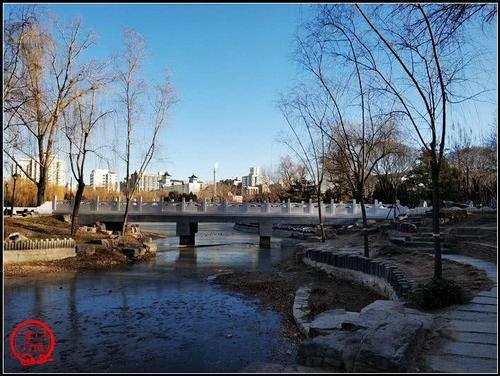 北京市内唯一一座具有田园风光的山村野趣公园，四头猪在路旁应景