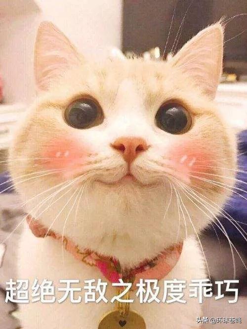 「美女」你的脸是美是丑!“黄金比例”美女,都要满足什么样的条件?