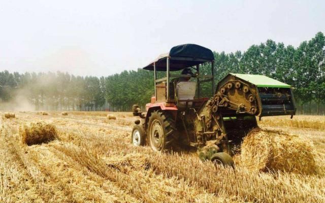  【秸秆】农村出现新行业！1天能赚2000多！农民还都抢着在送钱