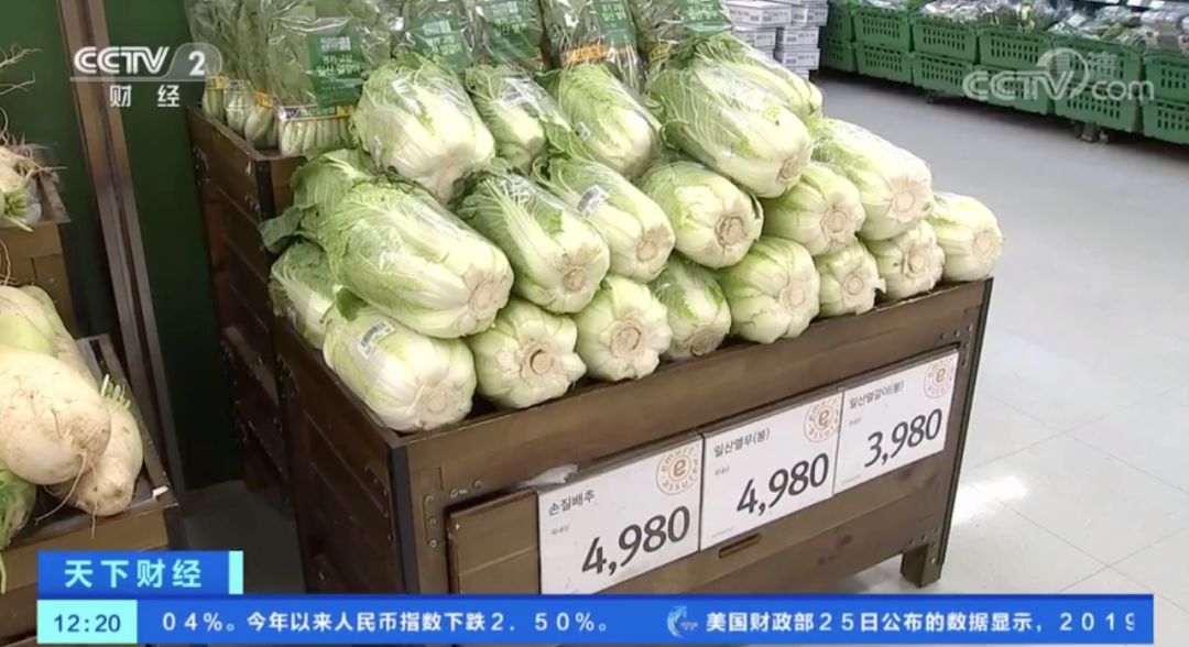 「白菜」白菜价格暴涨！韩国主妇：腌不起泡菜了…