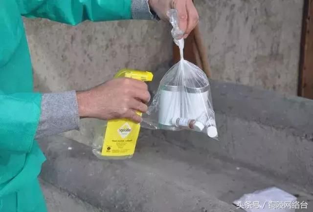 芜湖男子编造“非洲猪瘟疫情”谣言被拘5日