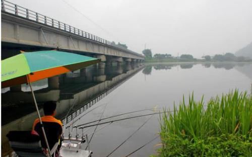  [事实]为啥你钓不到大鱼？不仅是技术问题，还有几个你不愿承认的事实