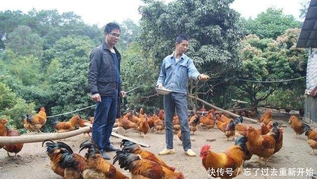  「货郎」农村出现“借鸡生蛋”，跟农民做生意靠口头协议，能靠