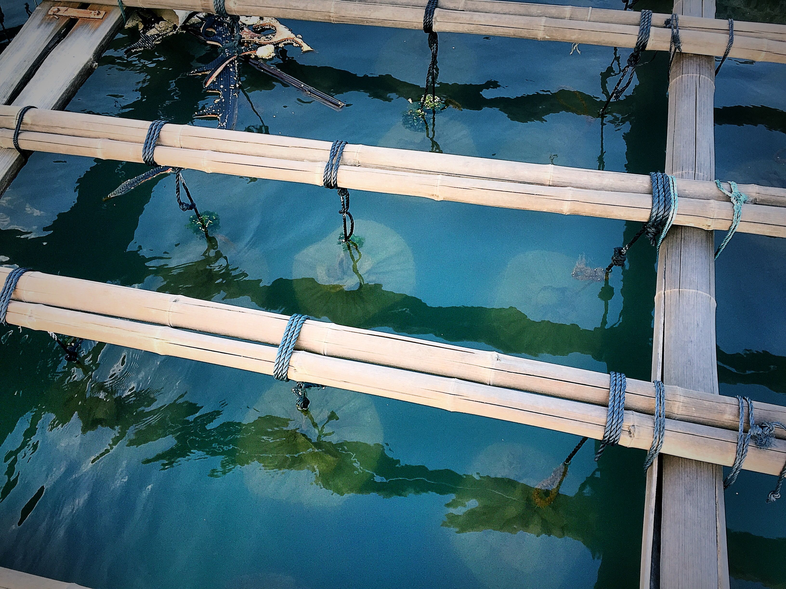 霞浦，只为了那一抹光彩