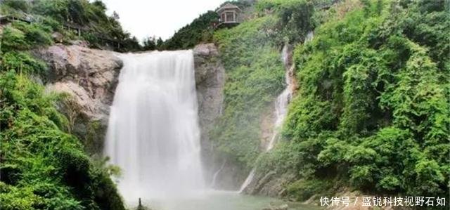 浙江、福建交界，有个300年秘境古村，仙人掌都长成了参天大树