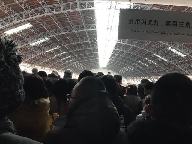 花一百多门票去看兵马俑,走进去却怀疑人生,游客:被挤成兵马俑