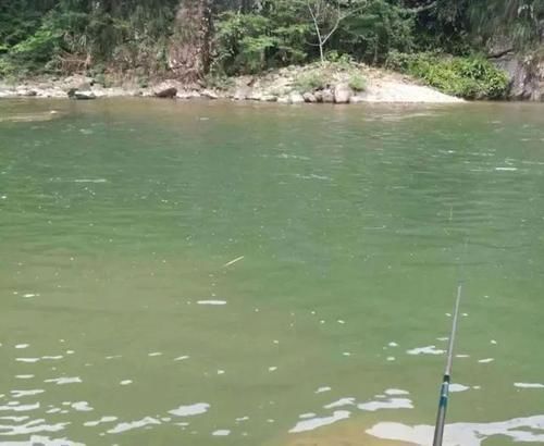 冷湿气流@“仲春”之初,把握这种天气野钓板鲫,位置选对全天连竿!
