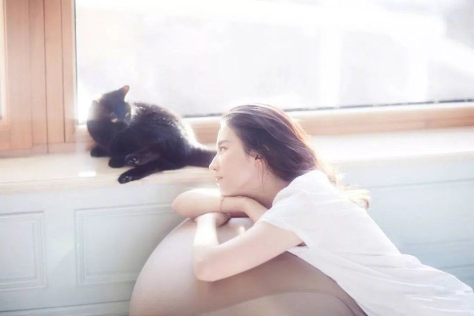 陈赫张子萱要结婚了?小花为了红谎称母亲去世?刘亦菲为何频繁被黑