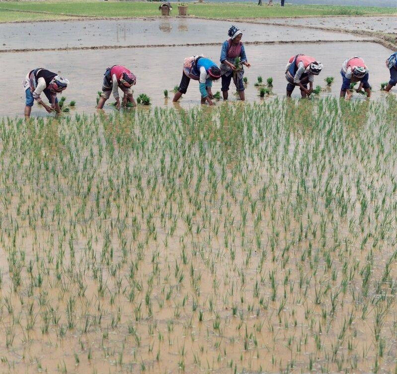 1987年德国摄影师拍摄的中国老照片，风景清俗秀丽，人们勤劳朴实