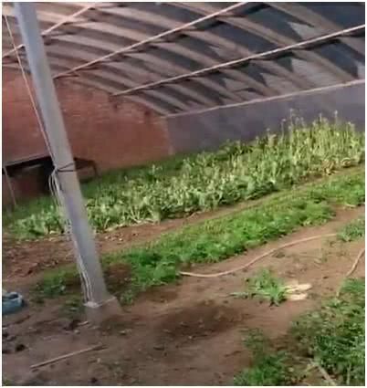  身价■出身农民不忘本！赵本山演穷酸老头毫不违和，身价数亿住乡下大棚