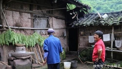  [留守]近年农村“伪寡妇，留守妇男”风气盛行，专家不解，农民