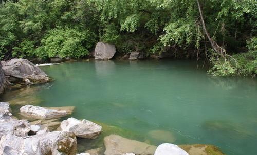 『七星』七星漂钓白条鱼就得这样玩