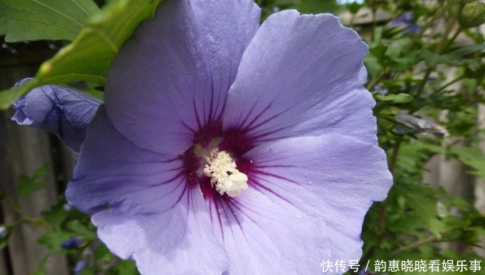 #家务#不会做家务,但是依旧被老公宠上天的三大星座女