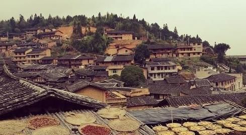 中国最“香”的古村，深山里的布达拉宫，桂树600岁高龄依旧飘香