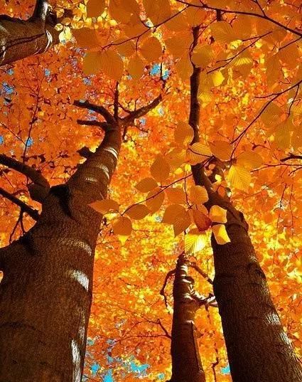 绝世照片，轰动世界