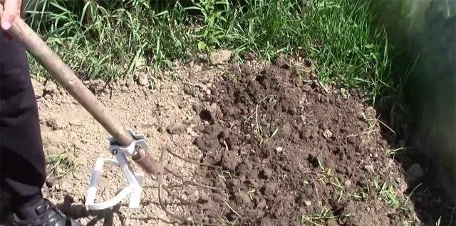 外国小伙发明“摩托车”松土机，一天松土6亩地，成本300元