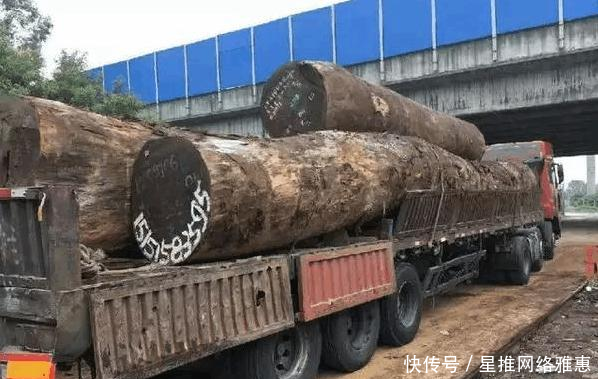  #成批#成批卡车成批运回非洲原木, 全切实木大板却引广泛质疑