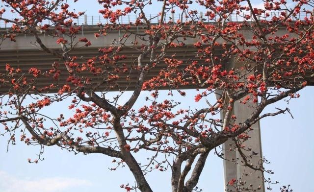 税务清查要来了！2109年起，个人账户将被检查