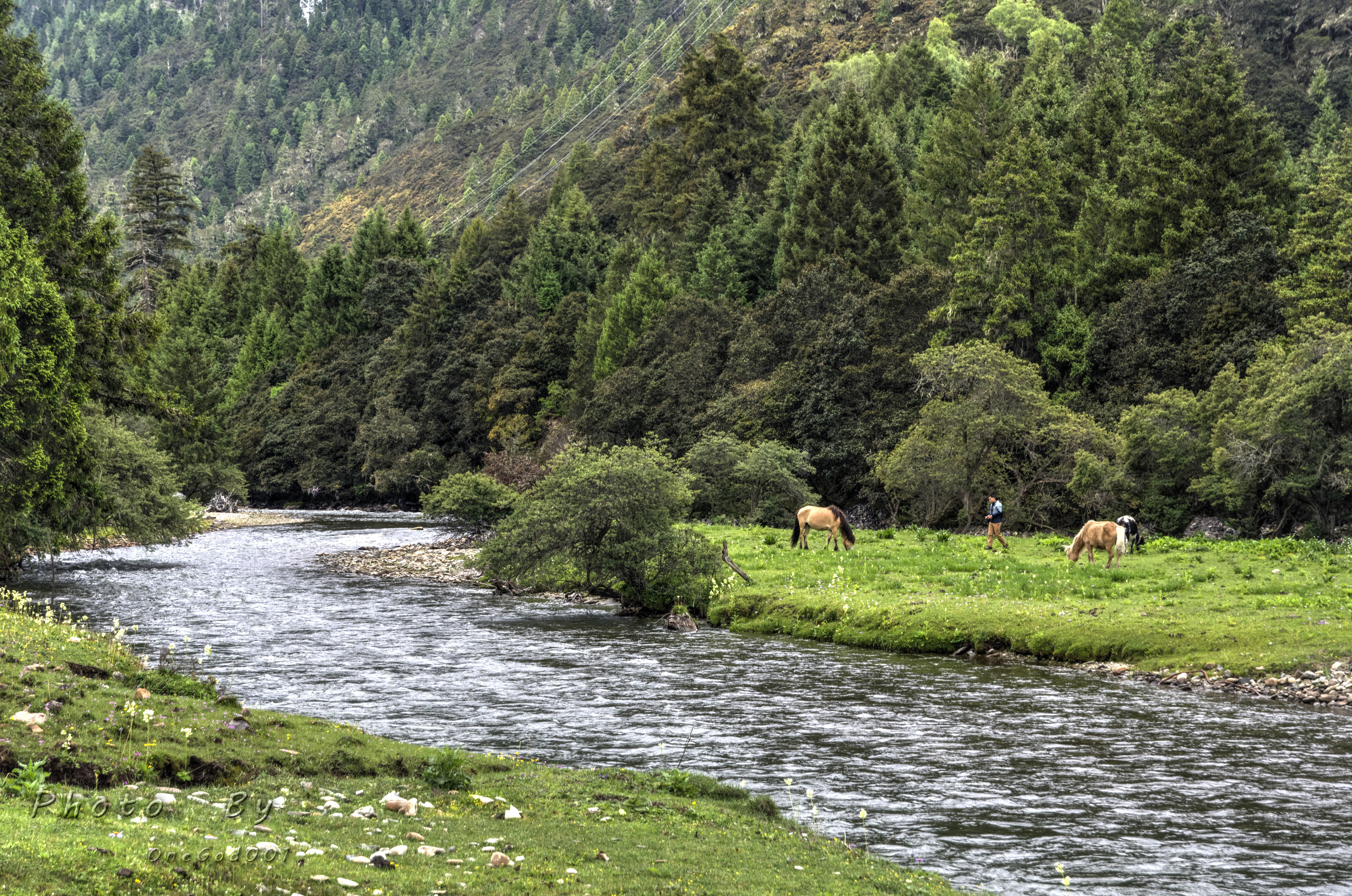 川进青出，十五天三省，318全线，冰川、湖泊、雪山探秘之旅。