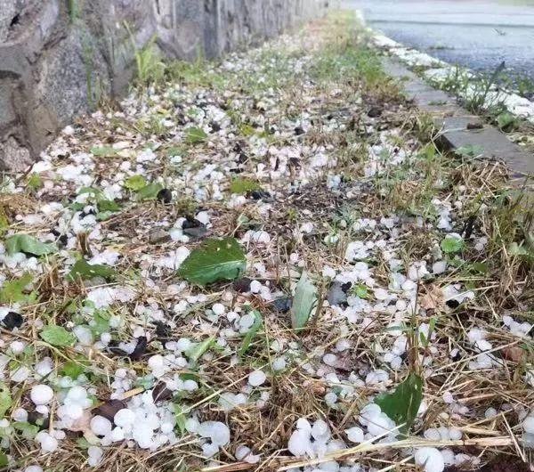 北京发布雷电黄警局地强降雨，还有7级大风冰雹，赶快回家