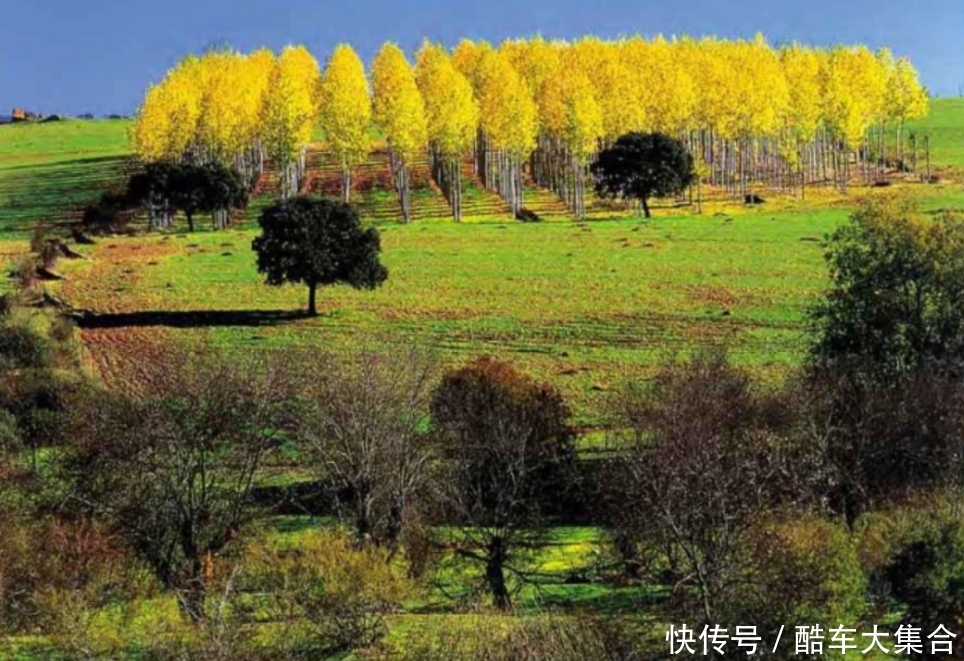 在卡拉特拉夫草原的深处，坐落着安静而孤独的阿玛格洛小镇