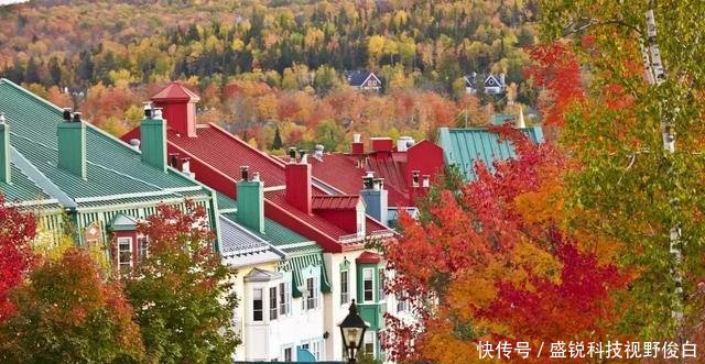 加拿大最宜居的4个地方,逃离城市,在这里治愈焦虑
