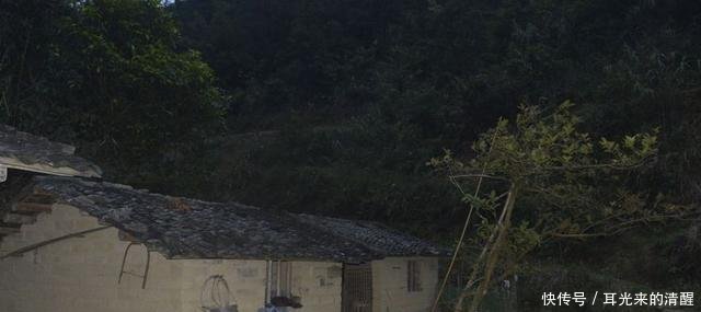 火葬省地又省钱，为什么农民不愿意老农说了三句话，专家无奈