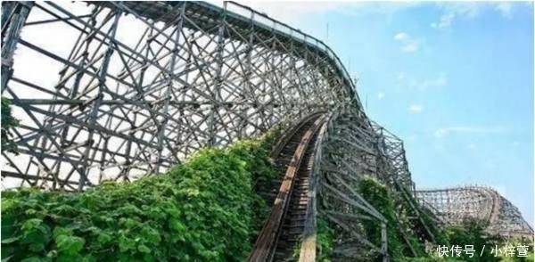  『消灭泛滥』外国人感叹在全球泛滥的生物都被中国人打败了