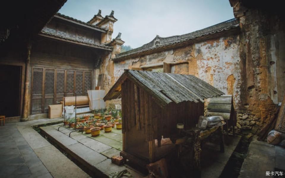  世外桃源@茶香环绕，与探岳陶醉在世外桃源。