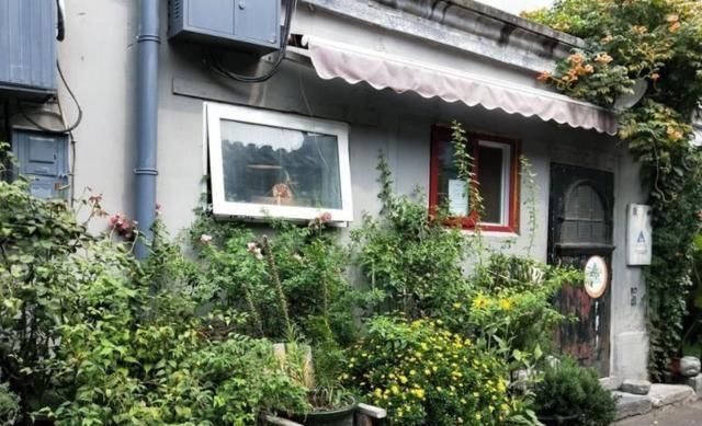 「的的」出淤泥而不染的的莲花，是佛教“五树六花”之一，被称为“圣花”