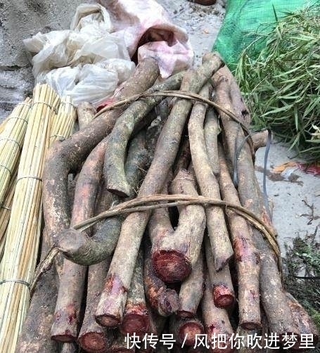 农村大叔在集市上所卖的一捆“生柴”,竟狮子大开口要价100元！