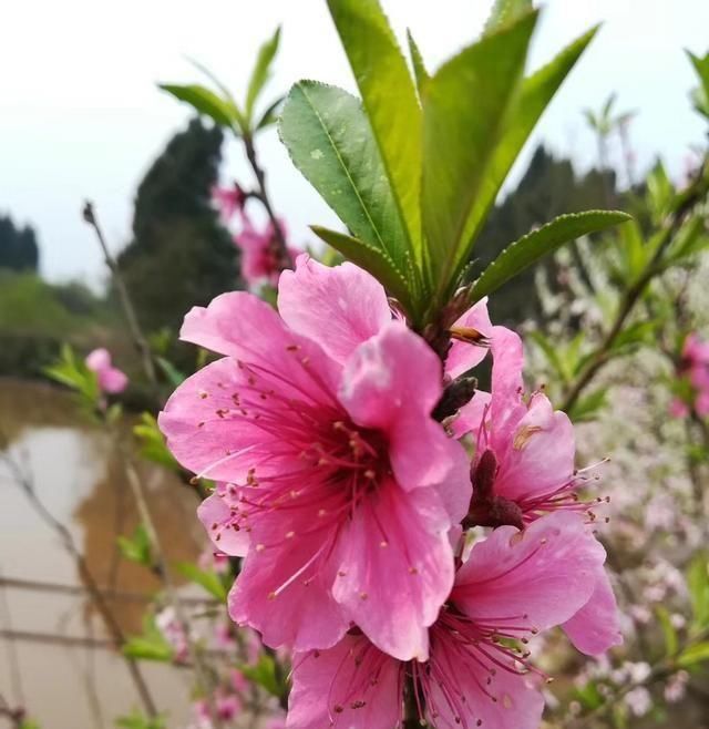 传统■台钓与传统钓的线组如何通用!试试这样用