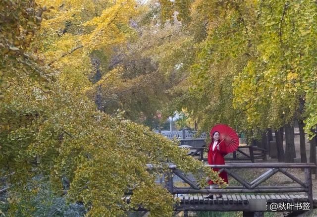 2019杏会邳州|巩伟鸣邳州美景摄影作品欣赏