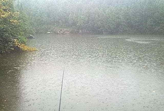  【夏季】夏季雨天钓鱼，切记这几种情况不宜出钓！