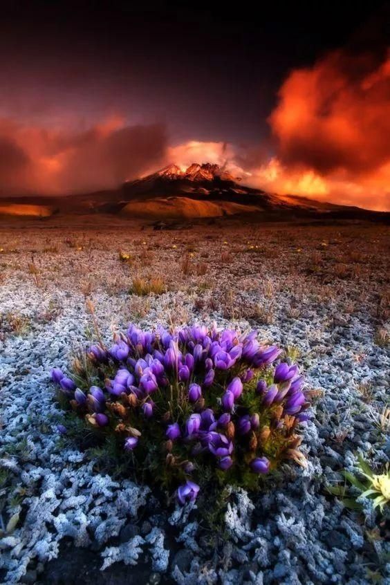 58张罕见奇景大片！太美太震撼