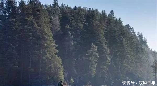 男子在结冰的湖面上溜冰,往湖面下一看,竟让他差点吓到心脏病发