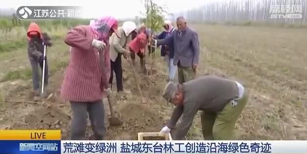 奇迹！“十八勇士”征服荒滩 半个世纪后盐碱地变绿洲