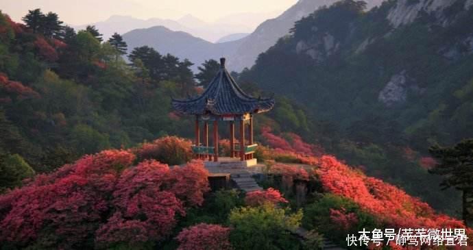 我国在规划一条高铁, 预计2018年开建, 经湖北、安徽、江苏、山东