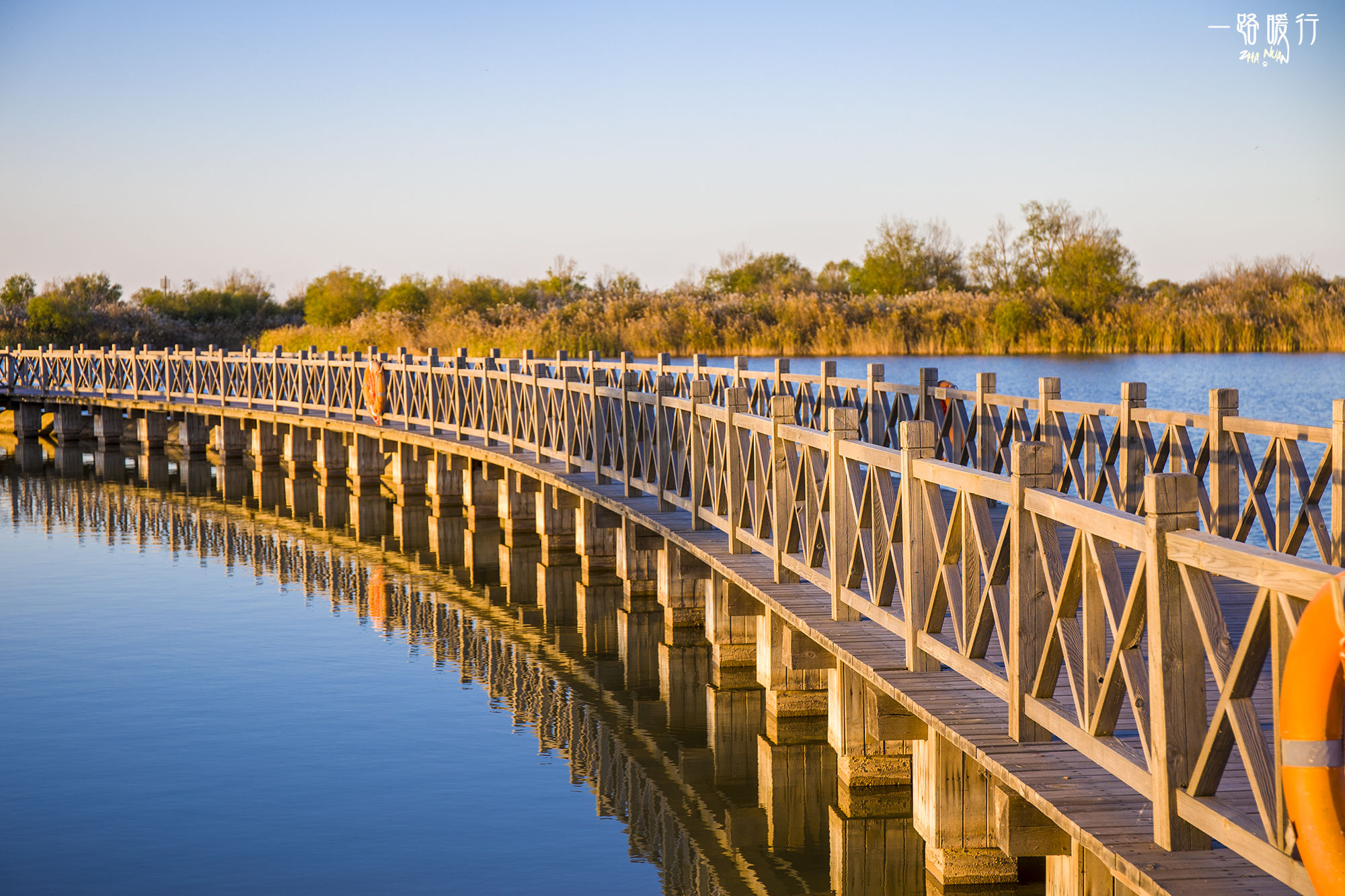 东营丨走过沧海桑田，终是在芦花飞雪的秋日遇见你