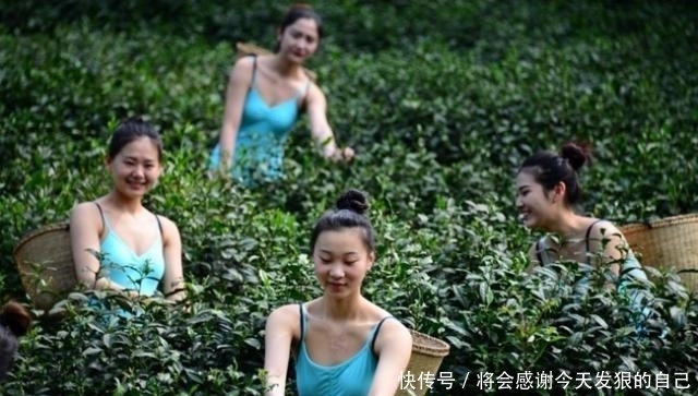  「第一名」浙江美女最多三个城市，第一名是实至名归，第二名是