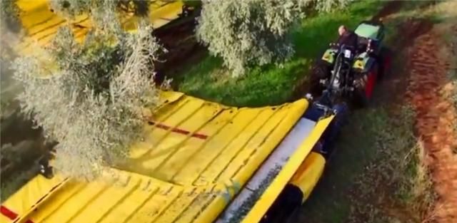 德国机械有多牛？采摘水果全用机器，一天可抵50个果农！