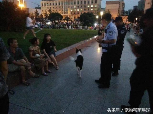 在有人教唆投毒，制造恐慌后，成都警方是这样做的，大赞！