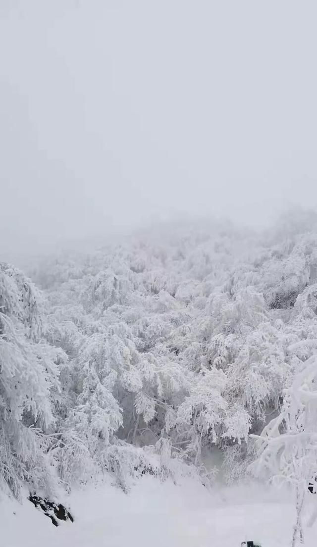 汉中汉江源雪景惹人醉，冬季赏雪不思归