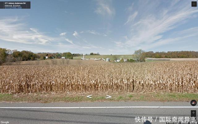  「大片」看看美国的农村的房子，大片的空地不种东西，就那么喜欢草坪
