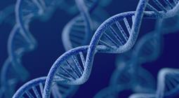 河南眼癌女童事件最新进展 王凤雅爷爷已起诉作家陈岚全回顾