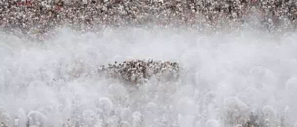 2060年时中国会剩下多少人口？听专家预测，你也许不会相信